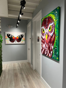 Mariposa