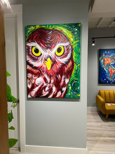 Owl Portrait