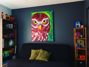 Owl Portrait