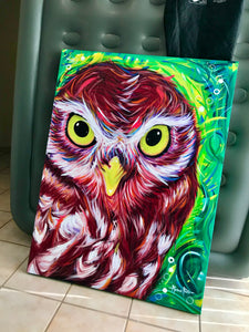Owl Portrait