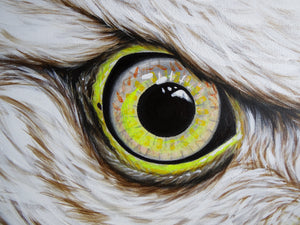 Eagle
